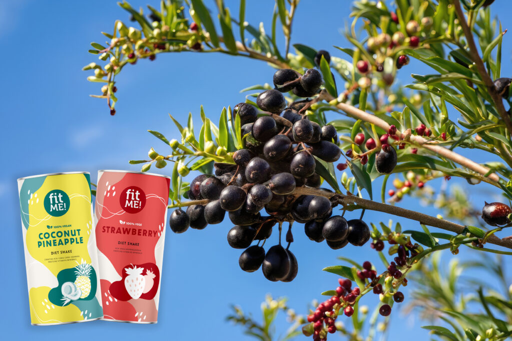 Jagody Acai to nie tylko superfood – to owoc, który nosi w sobie historię, kulturę i zdrowotne bogactwo dzikiej przyrody Amazonii. Niezależnie od tego, czy są spożywane w tradycyjny sposób w Brazylii, czy też jako składnik nowoczesnych, globalnych kulinariów, jagody Acai pozostają symbolem egzotycznej przygody i troski o zdrowy styl życia.