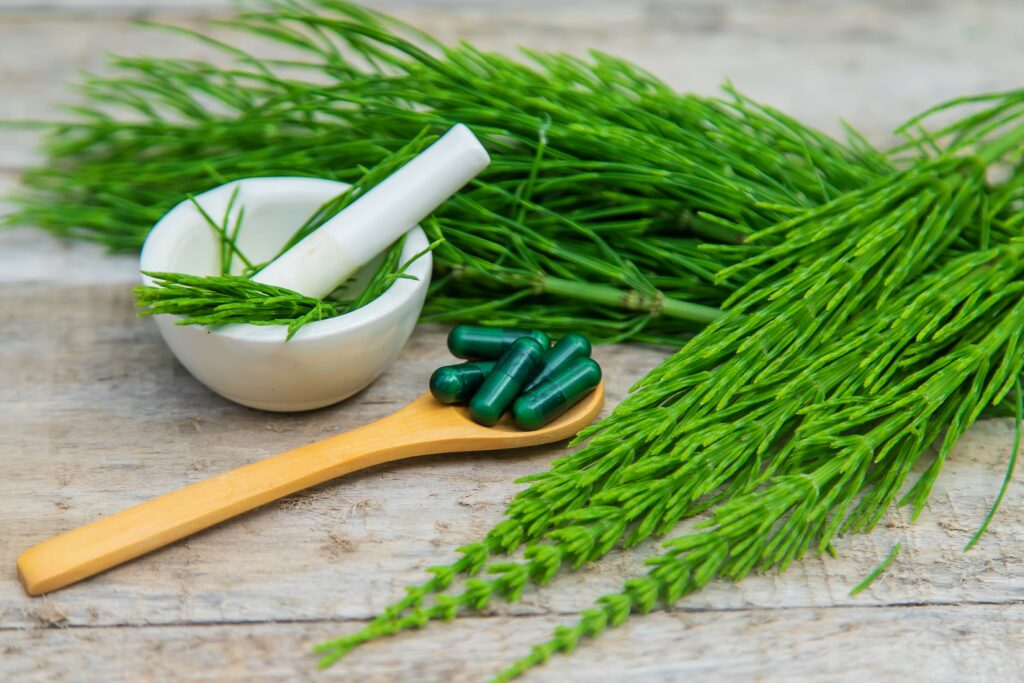 Formy przyjmowania skrzypu polnego (Equisetum arvense) są różnorodne, co umożliwia dostosowanie sposobu jego stosowania do indywidualnych preferencji oraz potrzeb zdrowotnych. Jedną z najpopularniejszych form są napary i herbaty przygotowywane z suszonego skrzypu polnego. Proces parzenia takiego naparu jest prosty: suszone ziele zalewa się wrzątkiem i pozostawia do zaparzenia przez kilka minut. Tego typu napary są często stosowane ze względu na łagodne działanie moczopędne i detoksykacyjne skrzypu polnego, co wspiera funkcjonowanie układu moczowego i usuwanie nadmiaru wody z organizmu.