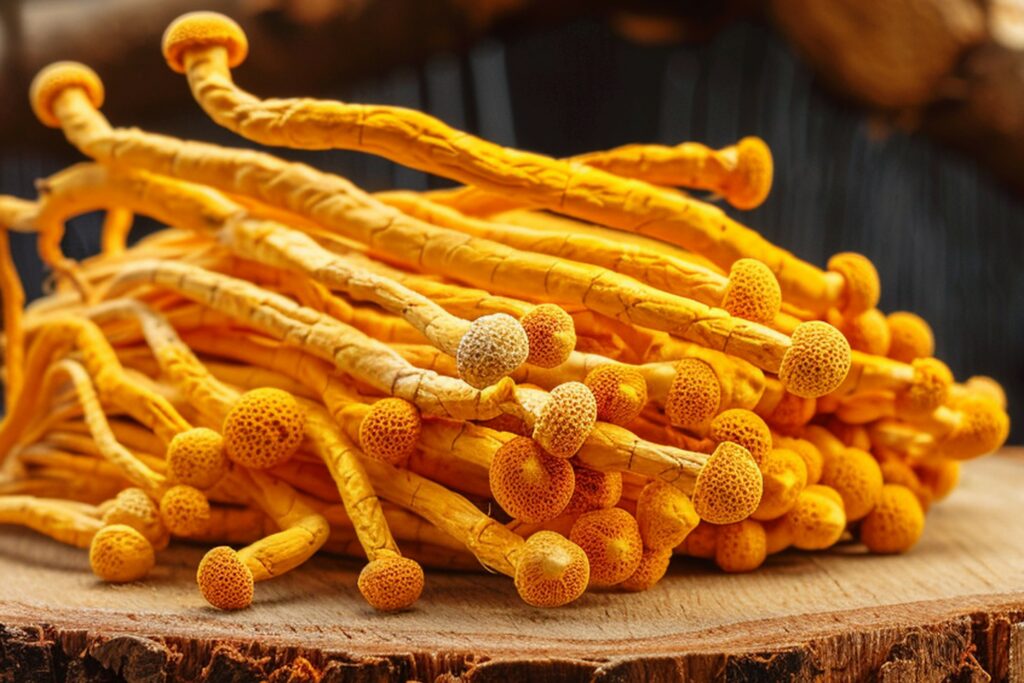 Kordyceps chiński – naturalny suplement wspierający energię, wytrzymałość i libido.